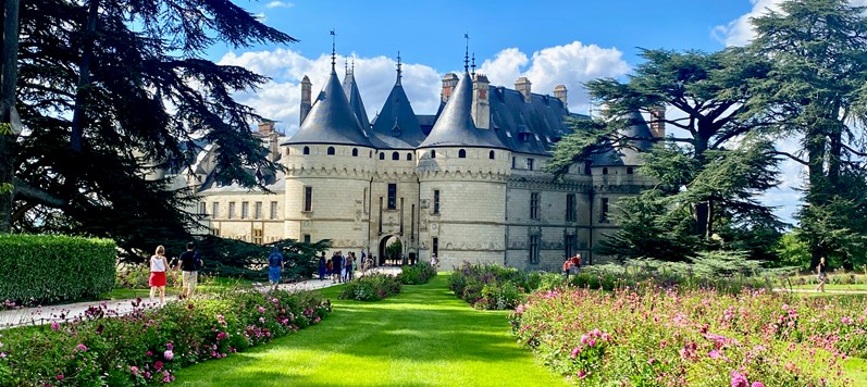 Small-group Day trips from Paris by Mercedes minivan